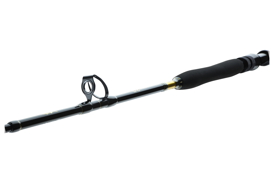 BG Big Game <span>| Boat rod | 20-30lb | 30-50lb</span>