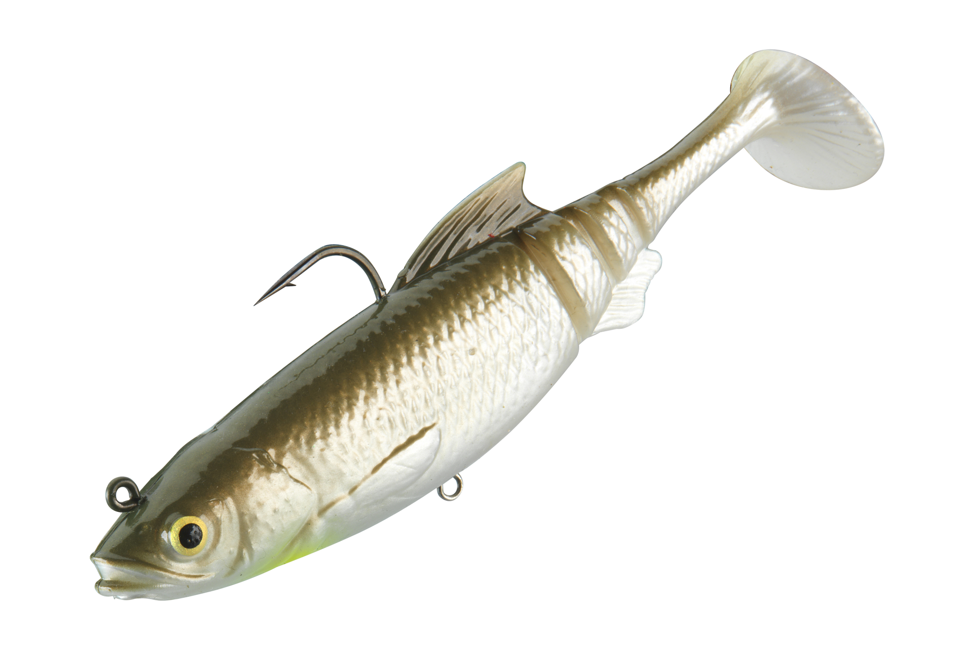 Prorex Lazy Roach RD | 160mm <span>| Shad</span>