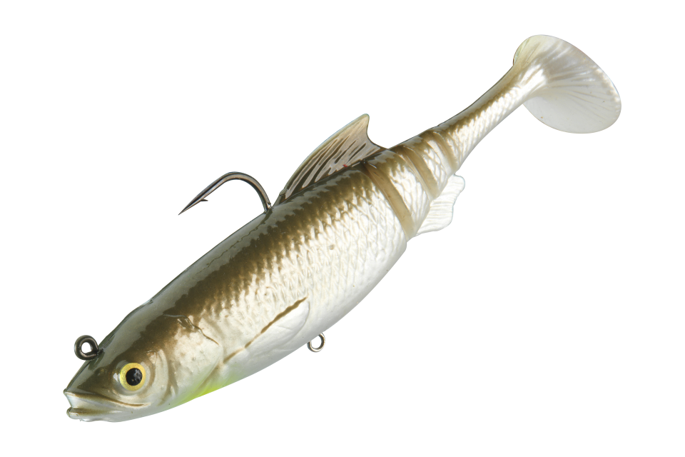Prorex Lazy Roach RD | 160mm <span>| Shad</span>
